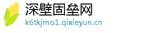 深壁固垒网